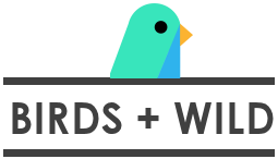 Birds & Wild logo