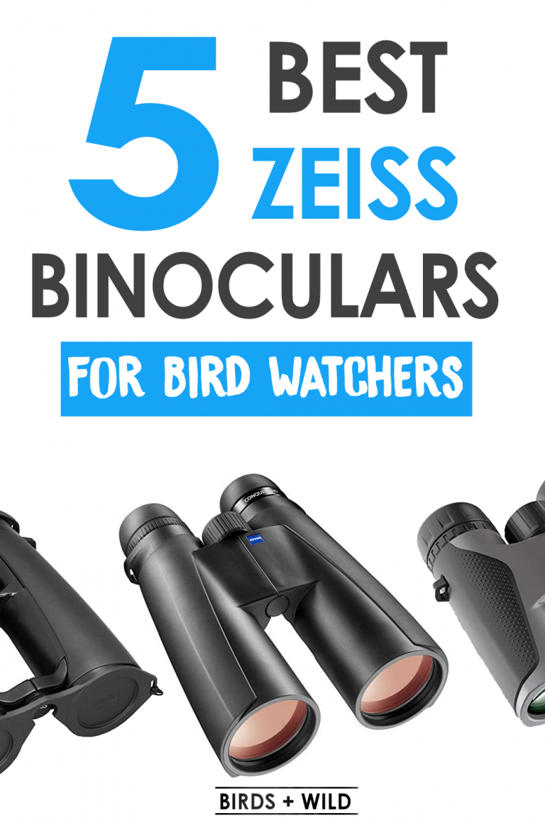Best Zeiss Binoculars For Birdwatching » Birds & Wild