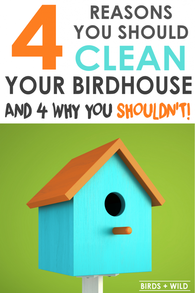 Should birdhouses be cleaned out?