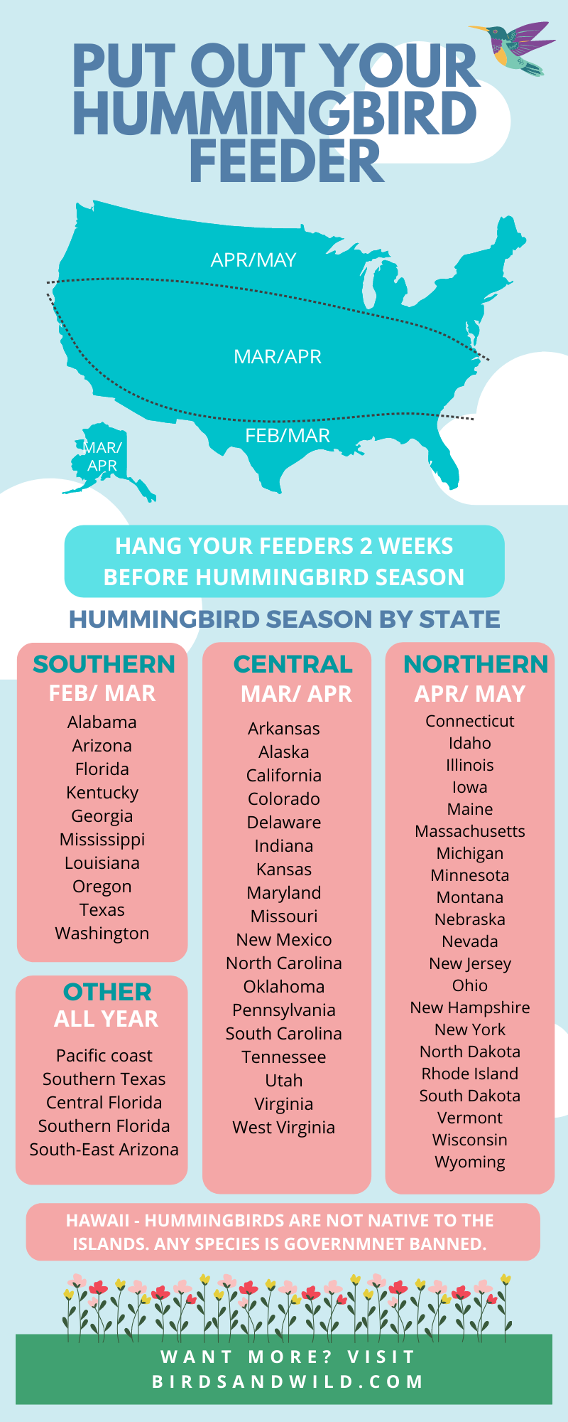 When To Put Out A Hummingbird Feeder » Birds & Wild